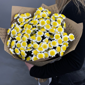 Букет "Моё солнышко" из 11 хризантем сантини  в Дмитрове