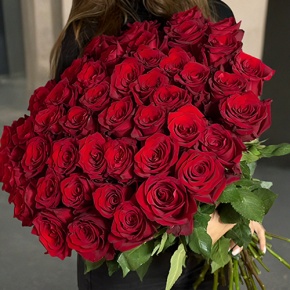 Букет 51 роза Эквадор Эксплорер (70 см) в Дмитрове
