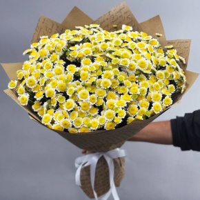 Букет "Моё солнышко" из 31 хризантемы сантини  в Дмитрове