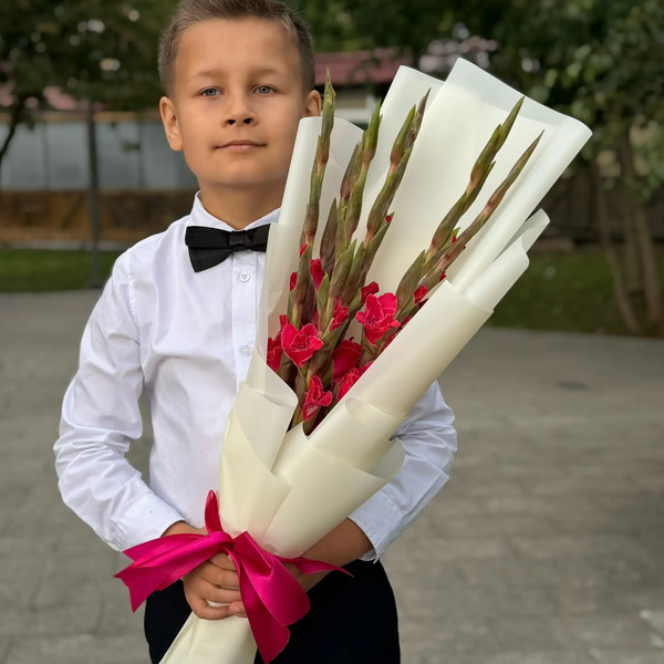 Букет на 1 сентября из 7 малиновых гладиолусов в Дмитрове