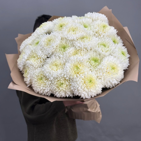 Букет из 27 хризантем Магнум в Дмитрове