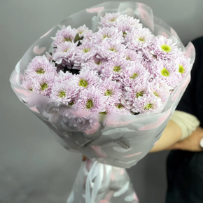 Букет "Нежный комплимент" из 9 кустовых хризантем в Дмитрове