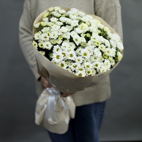 Букет "Милая моя" из 17 хризантем сантини в Дмитрове