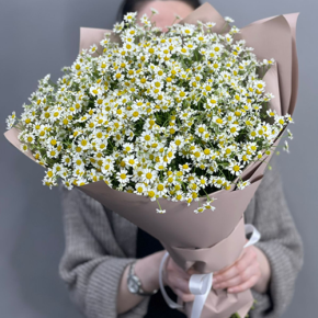 Букет из 17 полевых ромашек в Дмитрове