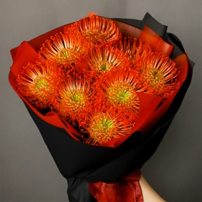 Букет из 9 лейко в Дмитрове