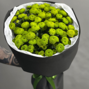 Стильный букет "Лайм" из 15 хризантем сантини в Дмитрове