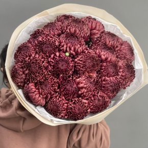 Букет 21 шоколадной хризантемы Бигоуди в Дмитрове