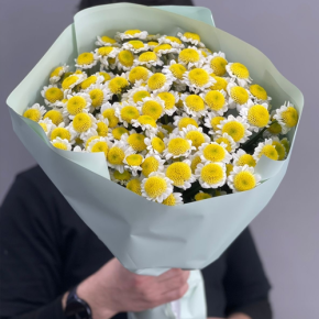 Букет "Моё солнышко" из 17 хризантем сантини  в Дмитрове