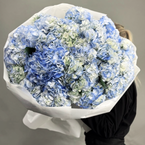 Букет из 23 синих гортензий в Дмитрове
