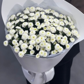 Букет "Белая дымка" из 25 хризантем сантини в Дмитрове