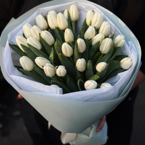 Букет из 31 белого тюльпана в Дмитрове