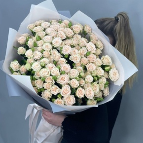 Букет из 25 кремовых кустовых роз (70 см) в Дмитрове