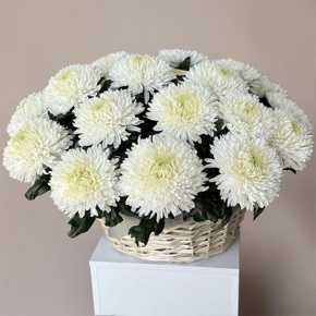 Композиция в корзине из 25 хризантем Магнум в Дмитрове