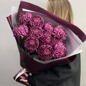 Букет "Изобилие" из 11 винных хризантем Бигоуди в Дмитрове