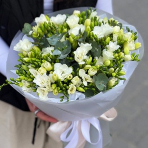 Букет из 51 белой фрезии в Дмитрове