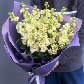 Букет из 15 лимонных маттиол в Дмитрове