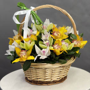 Композиция в корзине из 25 орхидей микс в Дмитрове