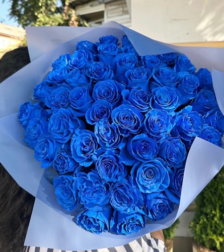 Букет из 51 синей розы Эквадор (60 см) в Дмитрове