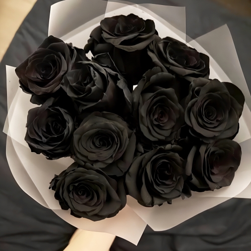 Букет "Черная королева" из 11 черных роз Эквадор (60 см) в Дмитрове