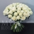 Букет 75 белых роз Эквадор Мондиаль (80 см) в Дмитрове