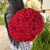 Букет 51 красной розы 50 см в Дмитрове Букет 51 красной розы 50 см в Дмитрове