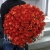 Букет 101 коралловая роза (60 см) в Дмитрове