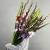 Букет из 25 гладиолусов микс в Дмитрове