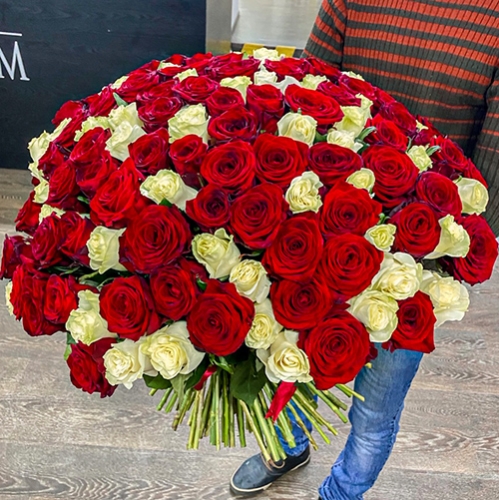 Букет 151 роза красный и белый микс (60 см) в Дмитрове