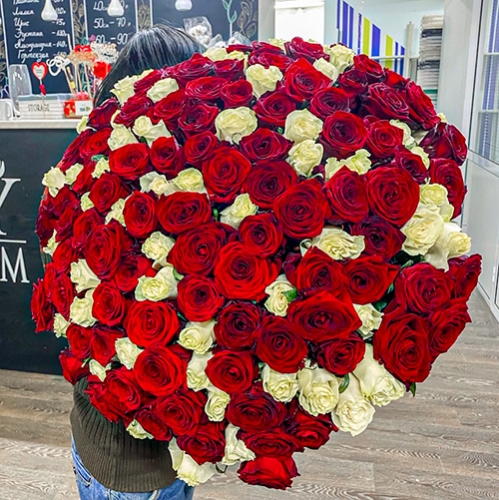 Букет 151 роза красный и белый микс (60 см) в Дмитрове