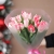 Букет "Фламинго" из 11 пионовидных тюльпанов в Дмитрове