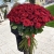 Букет из 101 красной розы (90 см) в Дмитрове