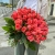 Букет 51 роза коралл (60 см) в Дмитрове
